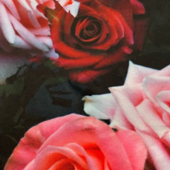 Silence + Noise URBAN OUTFITTERS Floral Y2K Crop Top - Picture 11 of 16